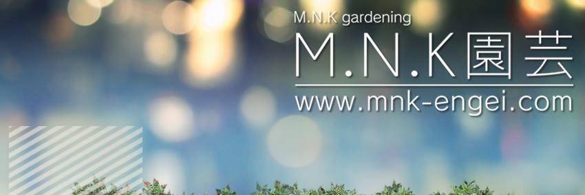 mnkengei's profile banner image
