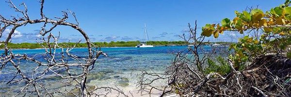 IsabelleRompais Profile Banner