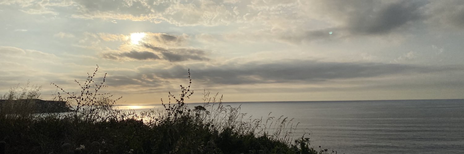 ScattyLady's profile banner image