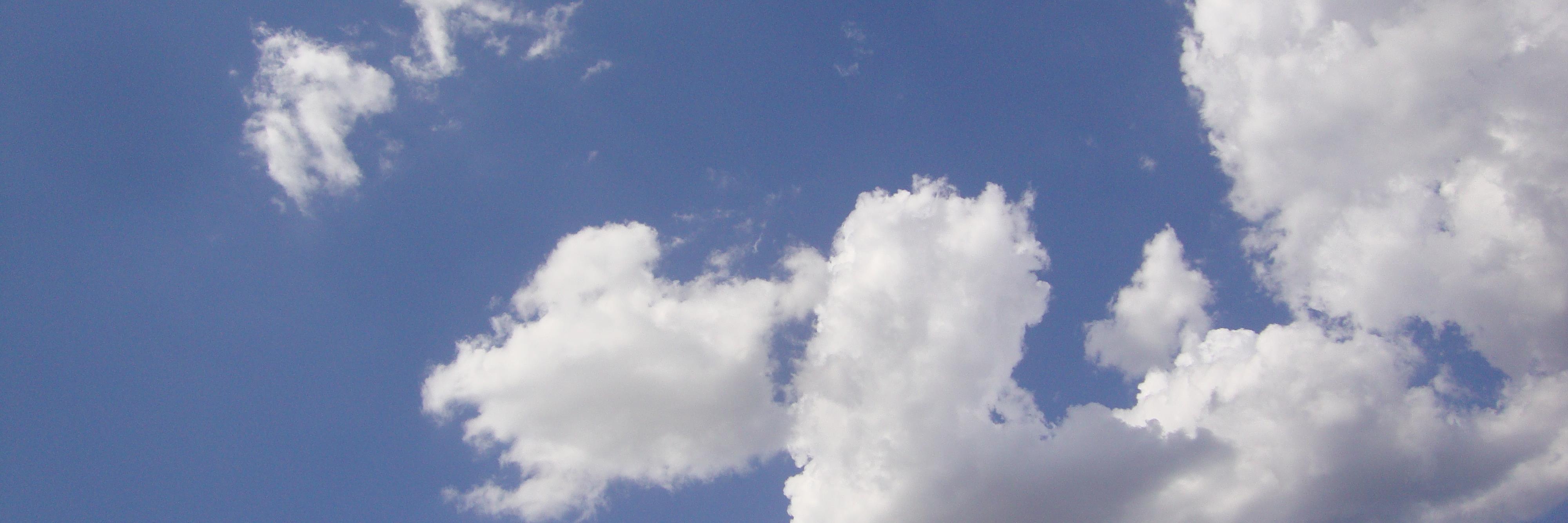 roccodegola's profile banner image