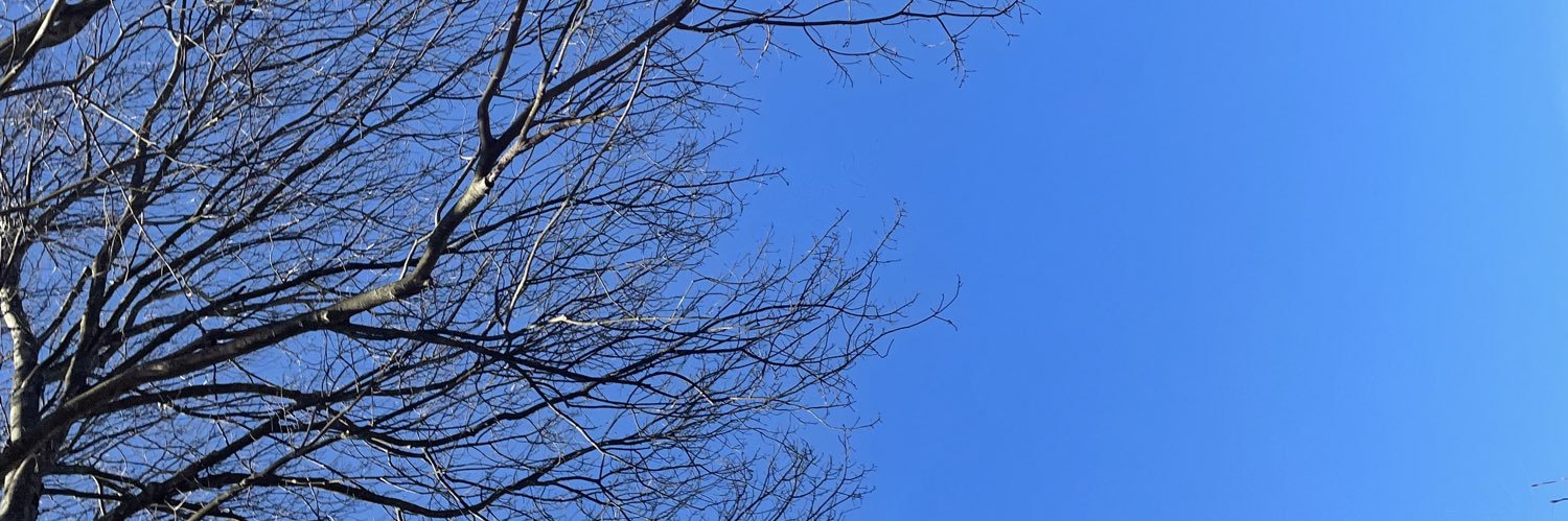 Perrierin45's profile banner image