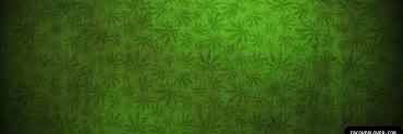 LegalWeedMedia's profile banner image
