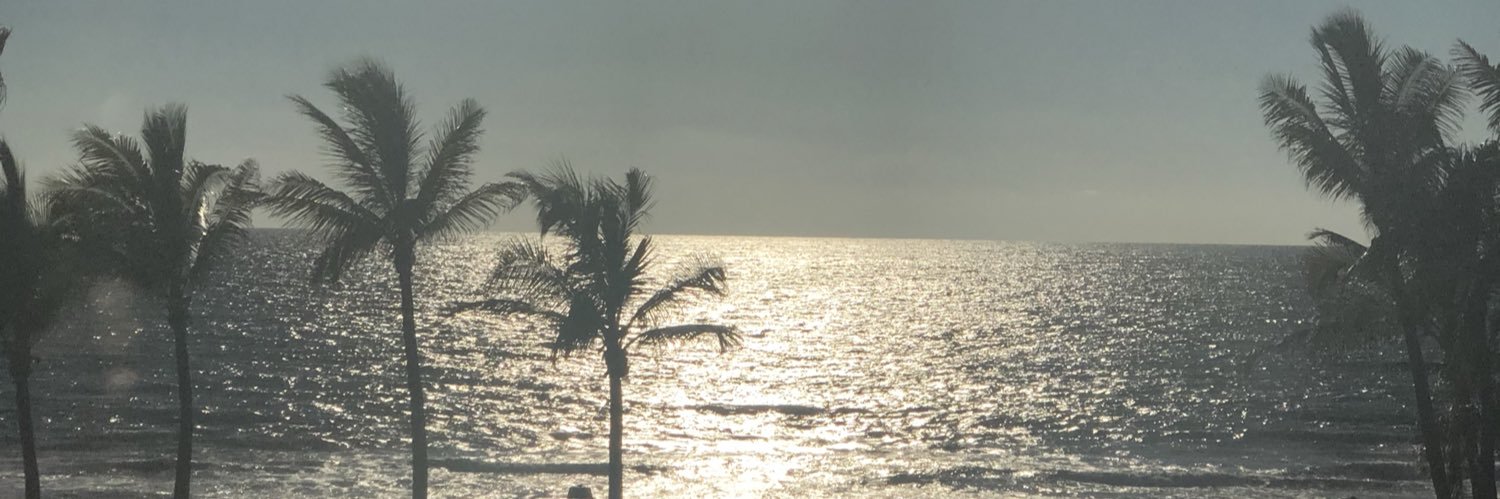 karirojano's profile banner image