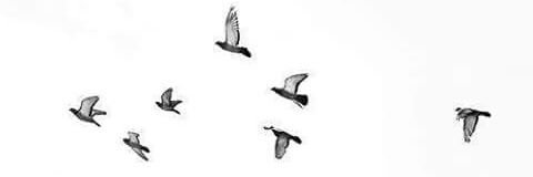 islam_saied's profile banner image