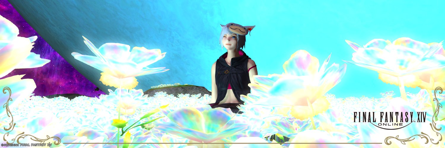 VAN_Gaming_'s profile banner image