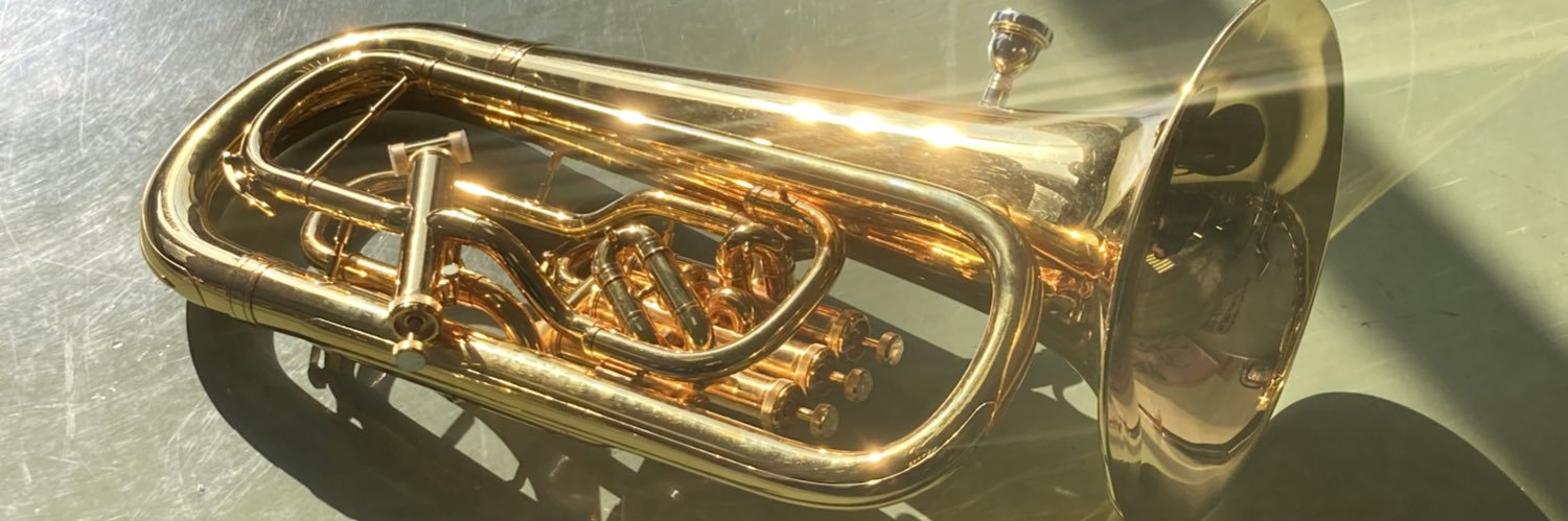 evil_Euph's profile banner image