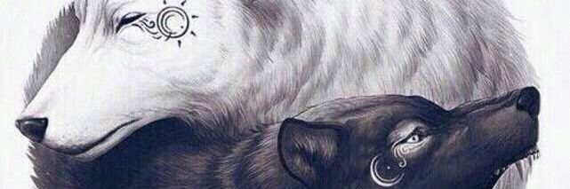 allScorpii's profile banner image