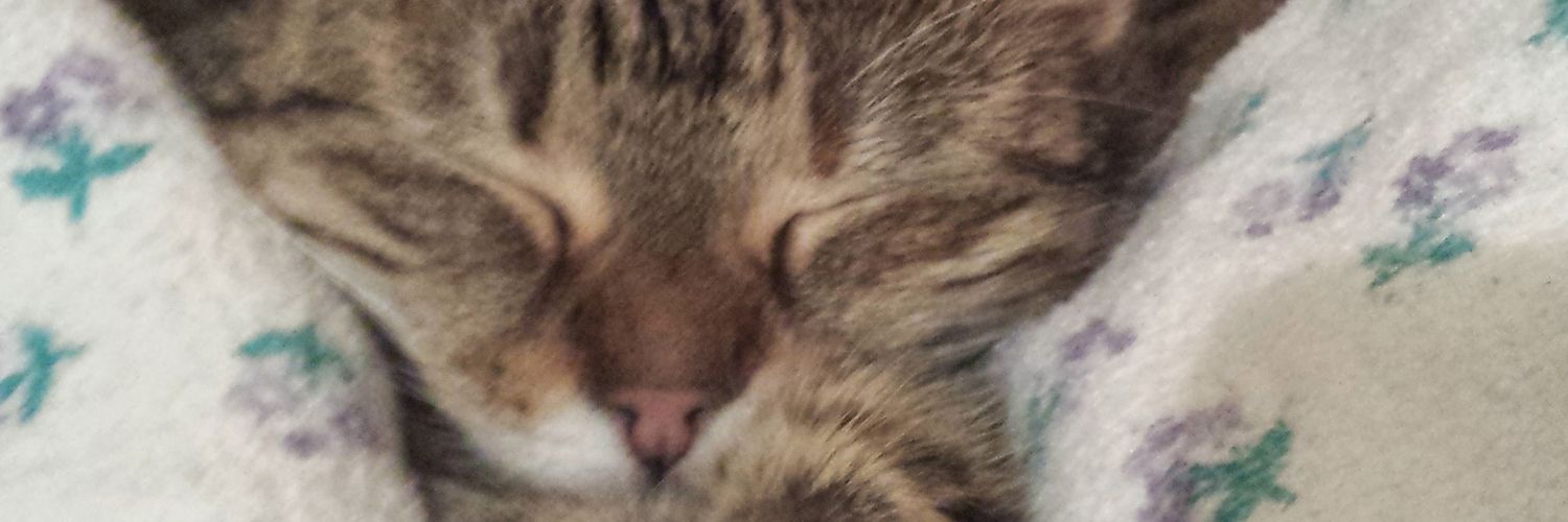 TinitusAvis's profile banner image