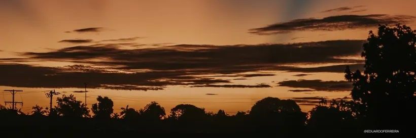 ceferreira95's profile banner image