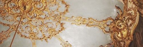 sav banner