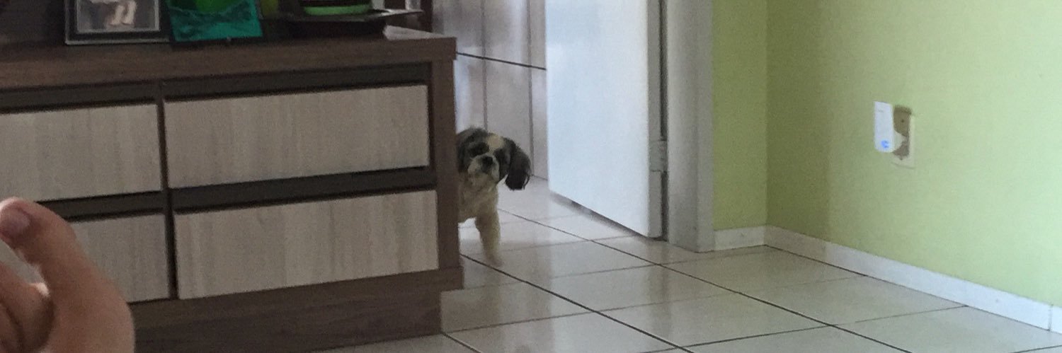 Nivaldo Neto banner