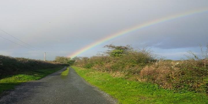 noelclancy's profile banner image