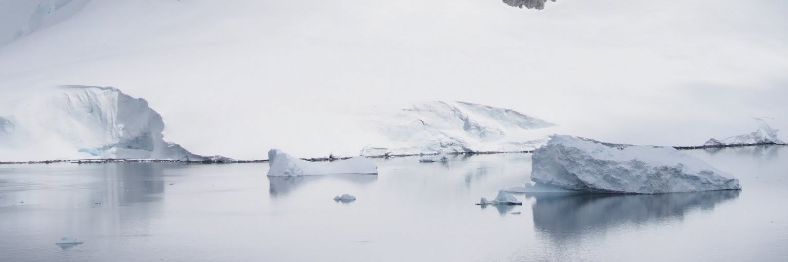 🐧 banner