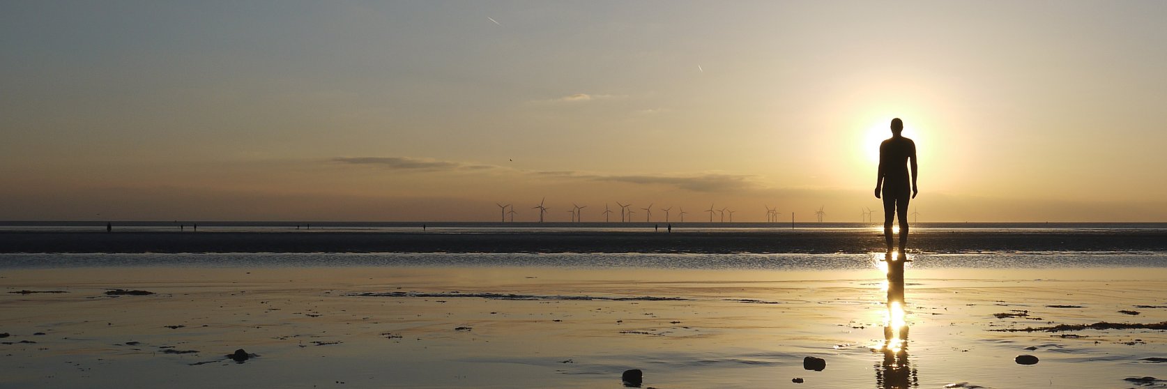 Dr. Alison J. Doherty banner