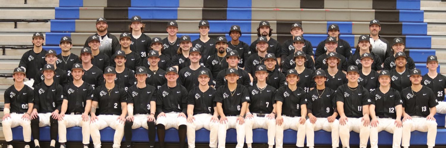 BMCC Baseball banner