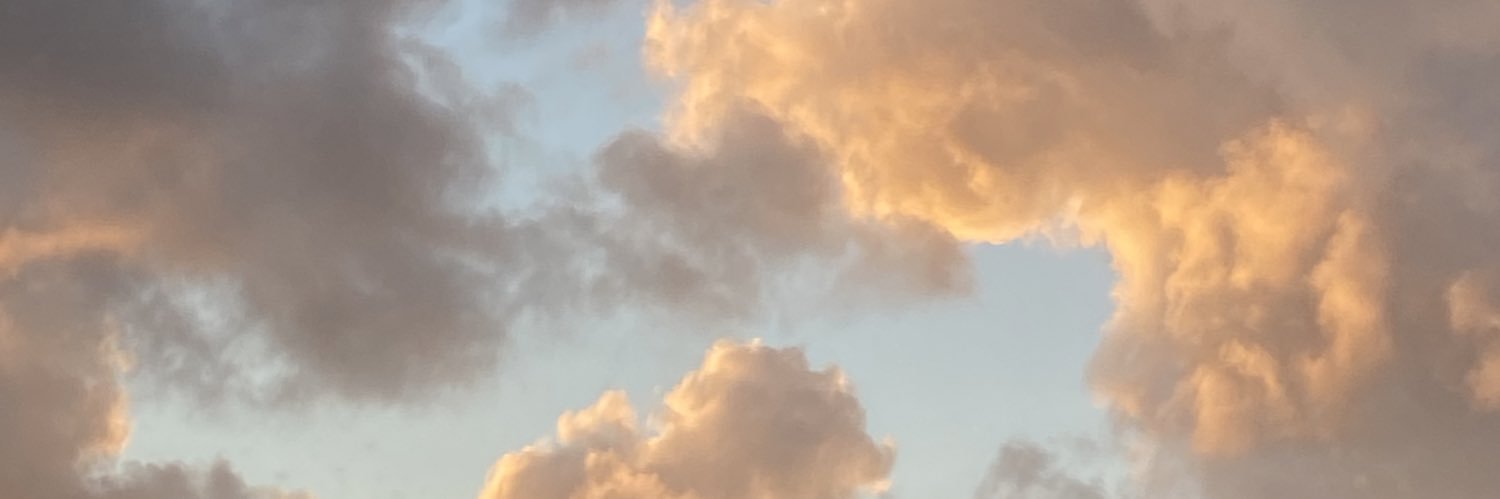 samlbarrientos's profile banner image