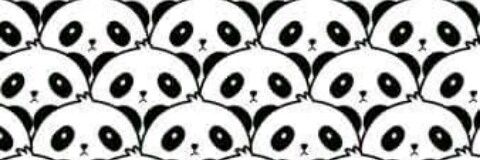 ap_alexa17's profile banner image
