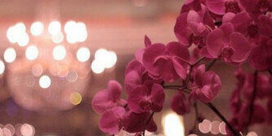 noortariq21's profile banner image