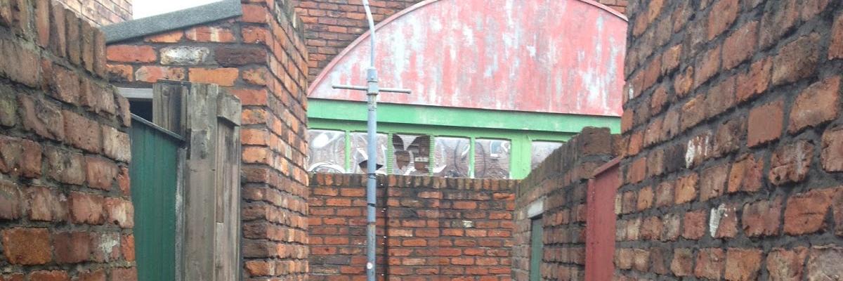 ginnel_pigs's profile banner image