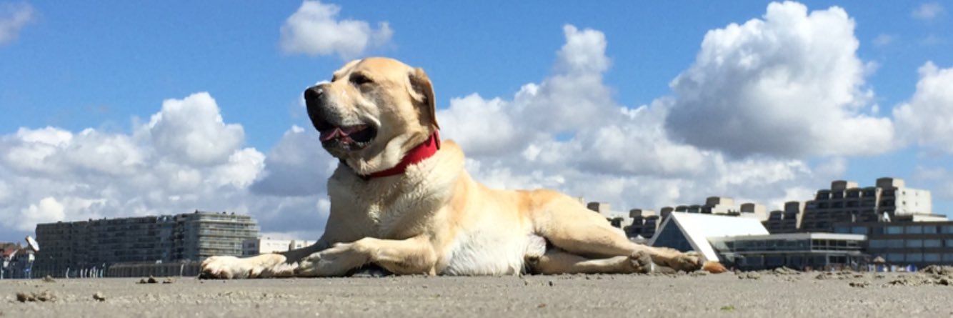 Hugues lemaire banner