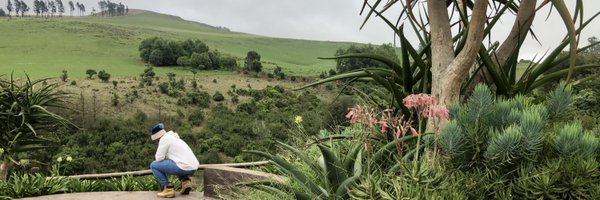 Sdwizzy Profile Banner