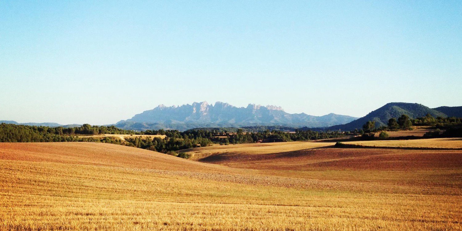 Marta Viladés Ribera🎗️ banner
