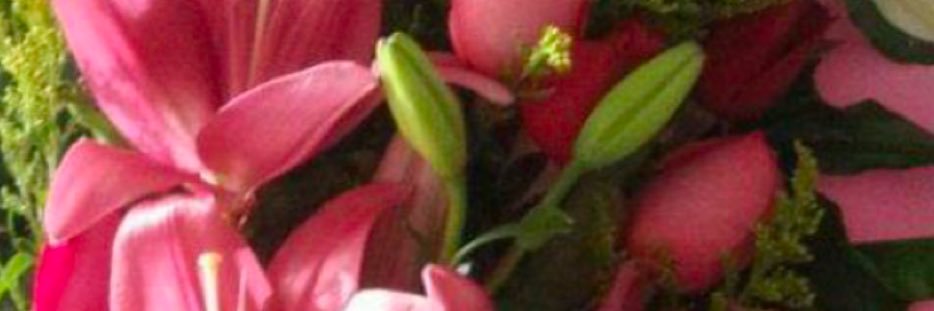 fi_____fi's profile banner image