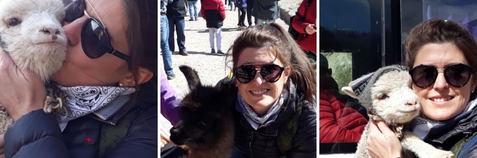 Lucía Hraste 👩🏻‍💻📲💻🐮🌾🌱 banner