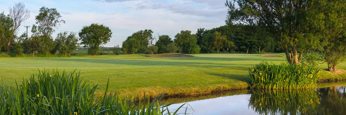 bordergolf's profile banner image