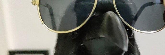 VerbaVolens's profile banner image