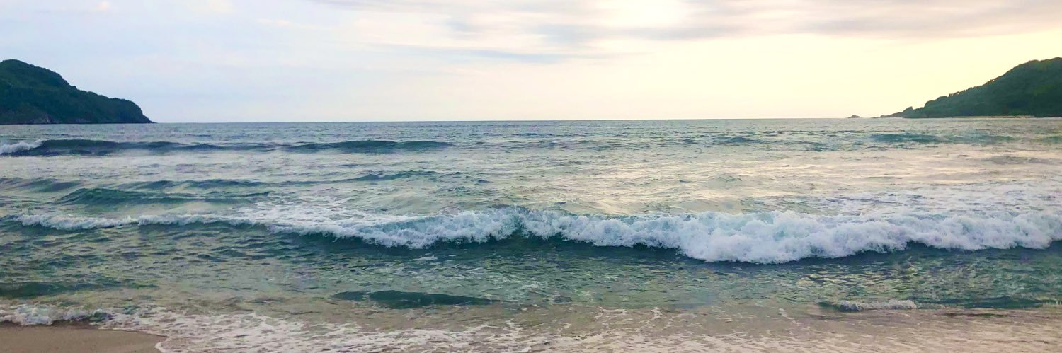 Mary M. Bourne banner