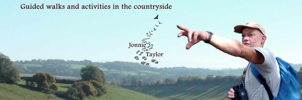 jonniewalks's profile banner image