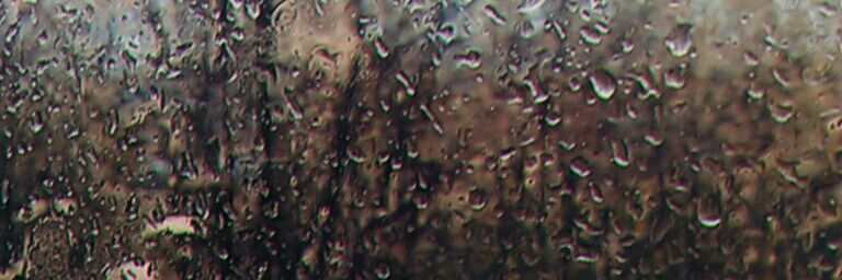 guldarx's profile banner image