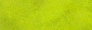 ErickaFerran's profile banner image