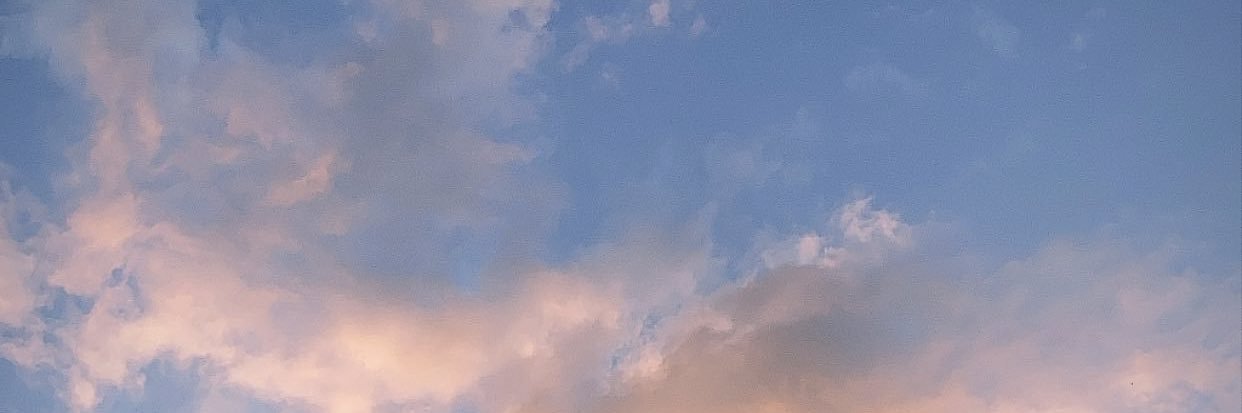 HayleyMLane's profile banner image