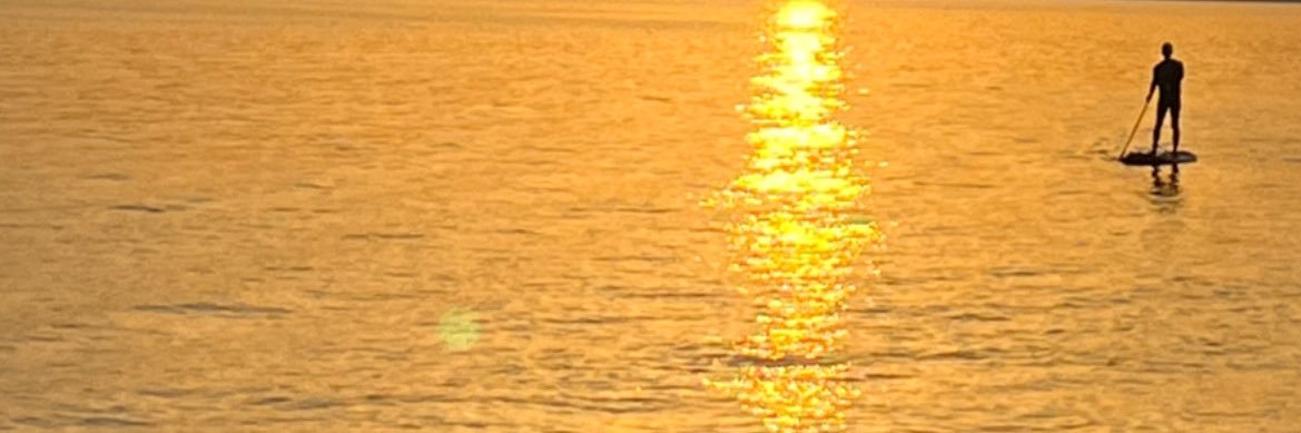 Javi Limones banner