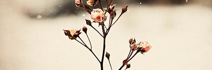 TimeForAngel's profile banner image