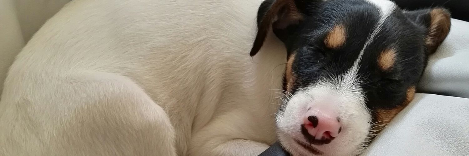loorgln's profile banner image