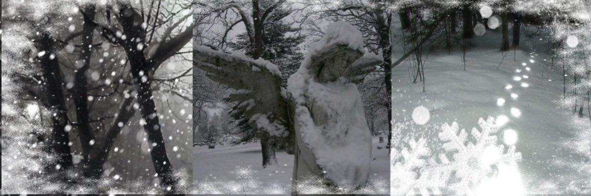 ‎xanthi 🩶 banner