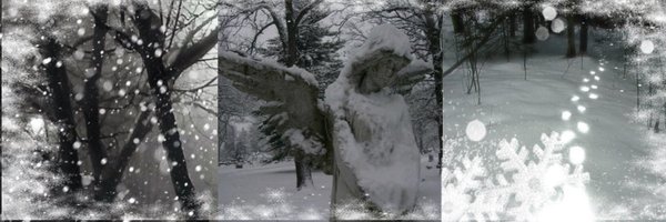 isit2O22 Profile Banner