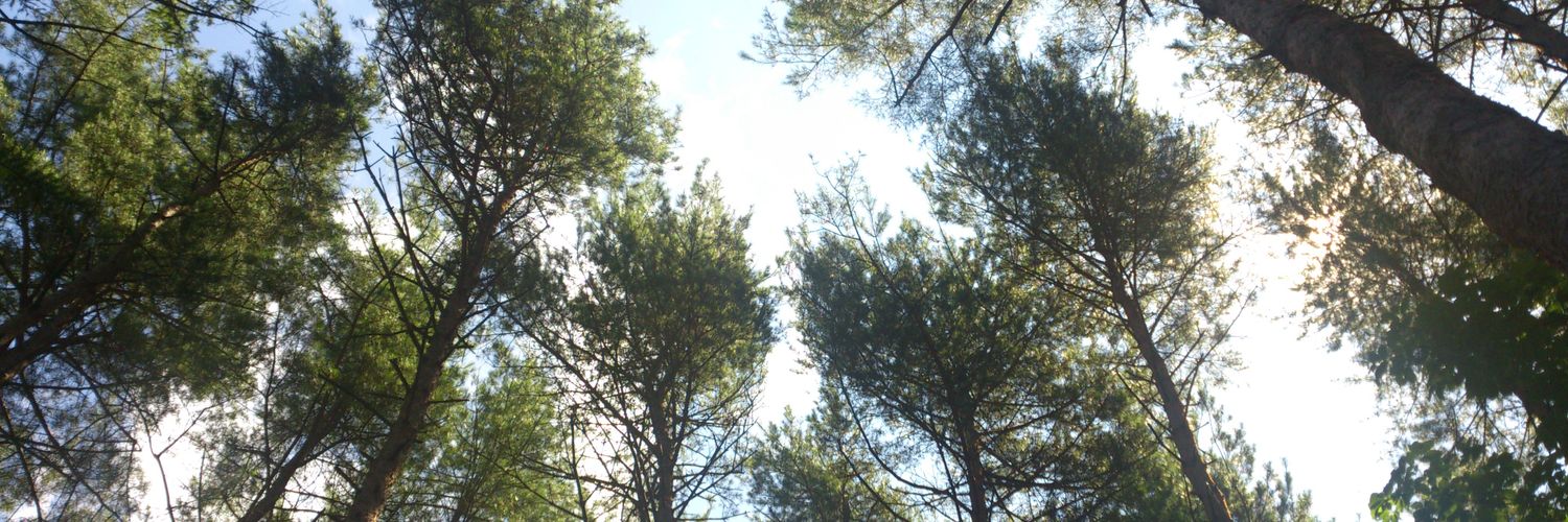 sunko_happy's profile banner image