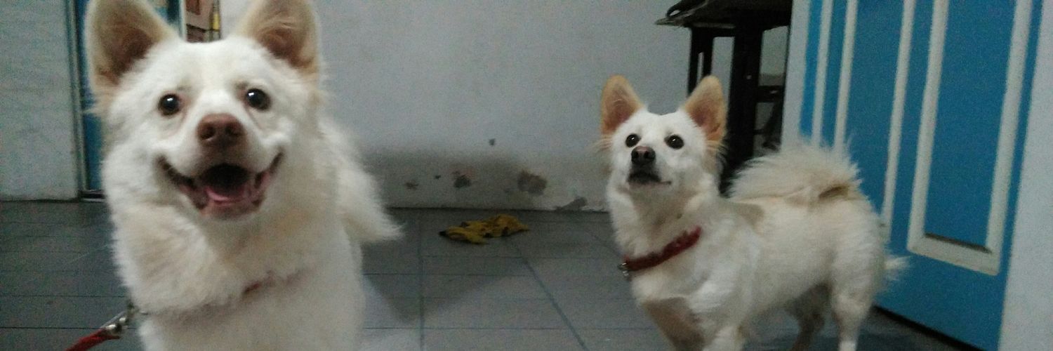 Nobiqq's profile banner image
