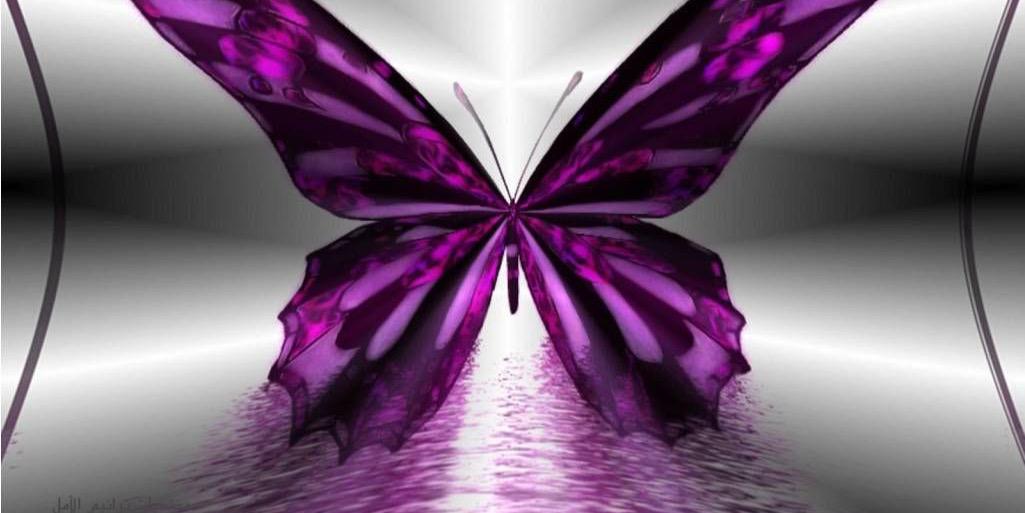 hamod1388's profile banner image