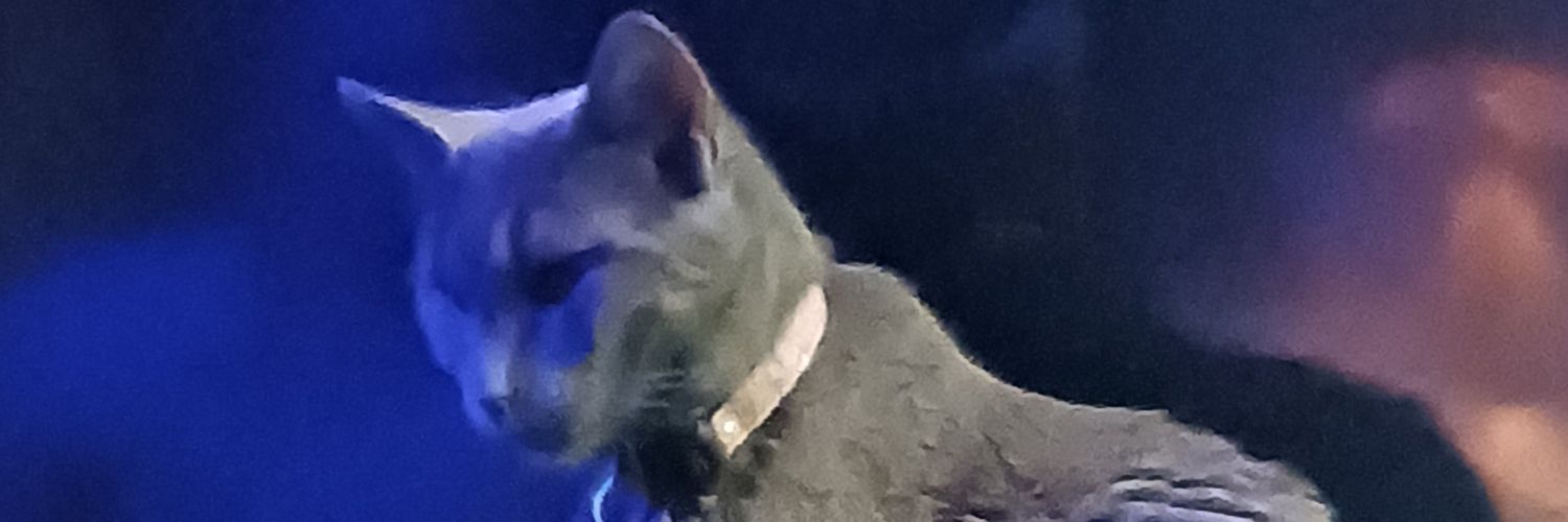 w_roemer's profile banner image