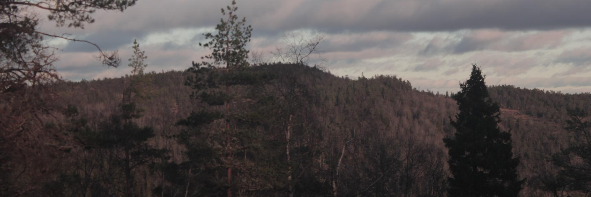 ChrisTheRealCat's profile banner image