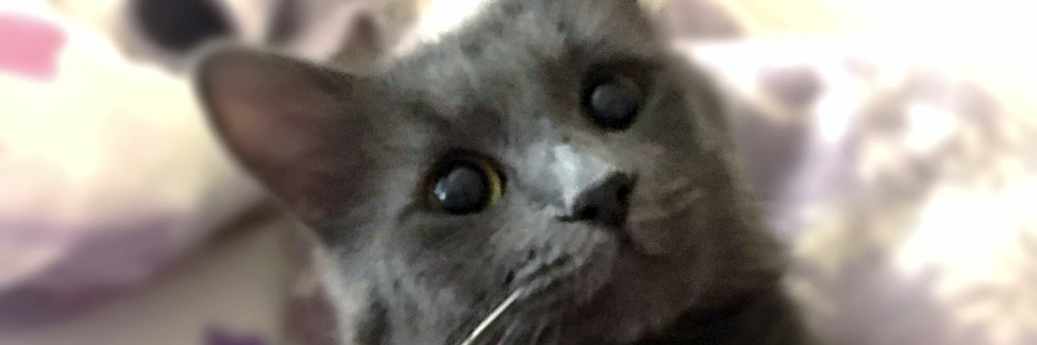Caglayess's profile banner image