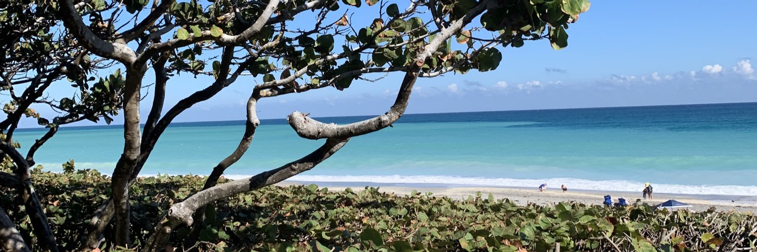 Danielle Avitable banner