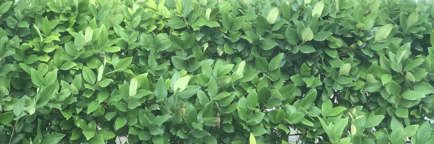 BryanMannequin's profile banner image