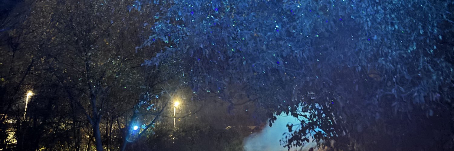 shleyre's profile banner image