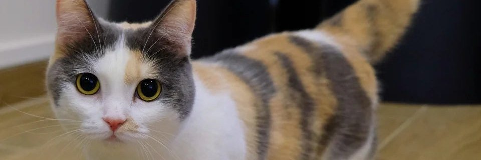 ajes_29's profile banner image